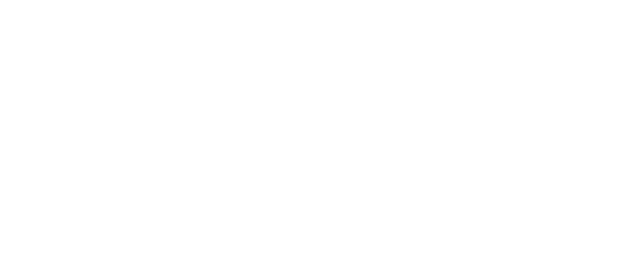 Essilor Instruments logo