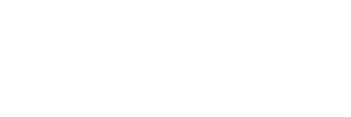 Polo Ralph Lauren logo